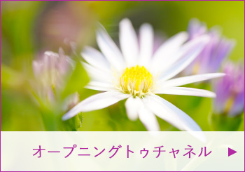 オープニングトゥチャネル